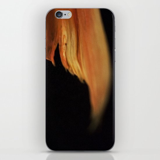 Fish Tales iPhone & iPod Skin