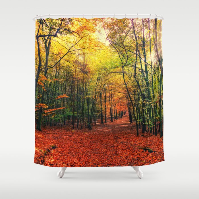 Autumn Forest Landscape Photo Shower Curtain