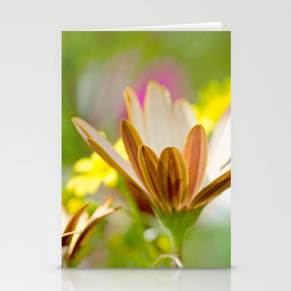 Pastel Meadow Stationery Cards