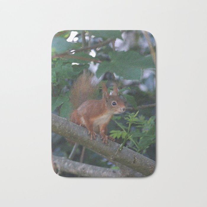 Baby squirrel in a tree Bath Mat