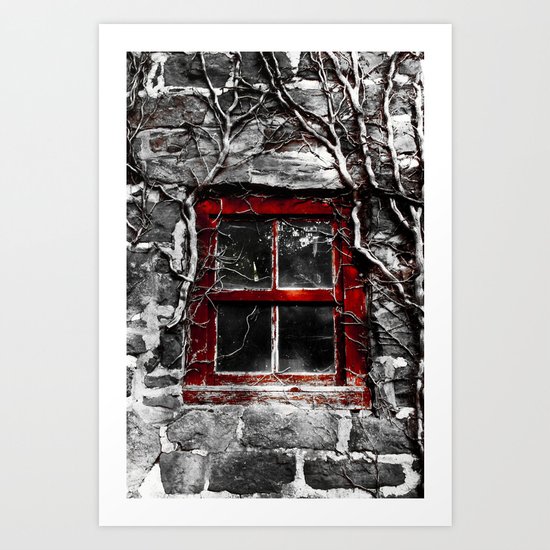 Barn Window Art Print