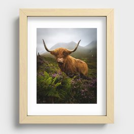 Funny Scottish Highlands Cow in a moody wheater Recessed Framed Print