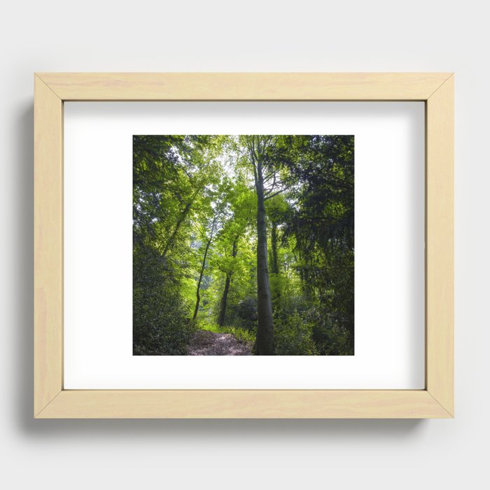 Dale Coppice Recessed Framed Print