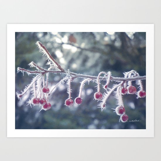 Berry Ice Freeze Art Print