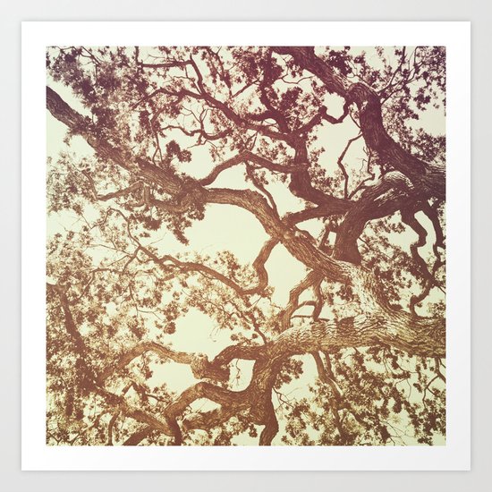 WOODEN WALLPAPER Art Print