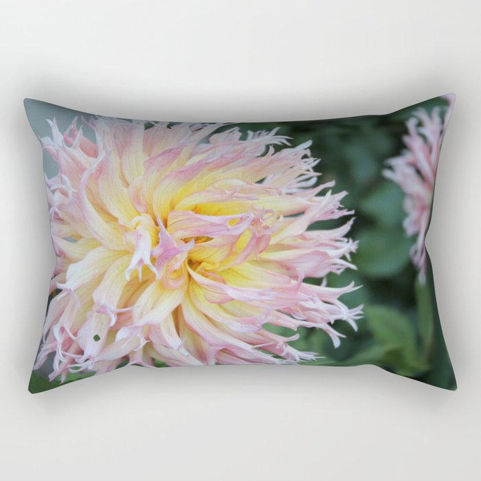 Dahlia Pink and Yellow Flower Picture Rectangular Pillow
