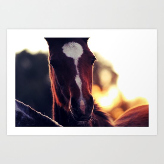 Running free Art Print