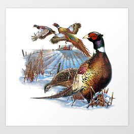 Pheasant Farm Art Print