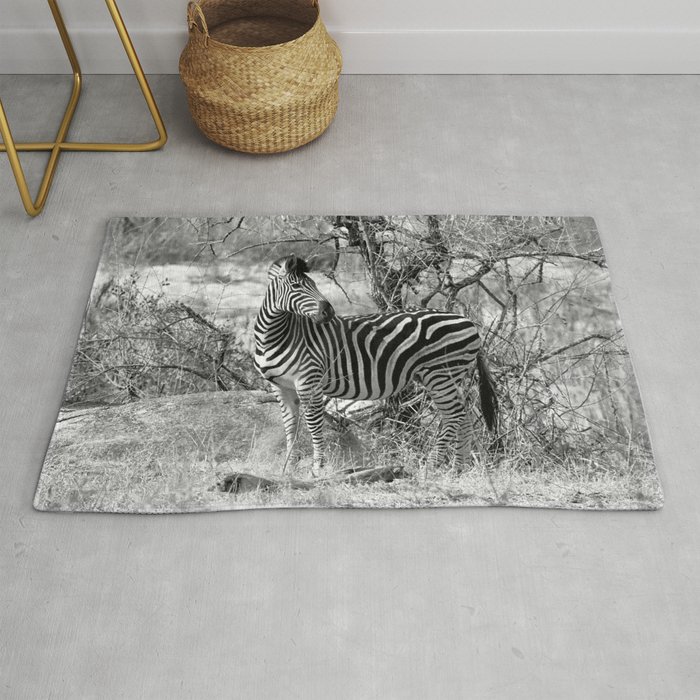 Are you black with white stripes? Rug