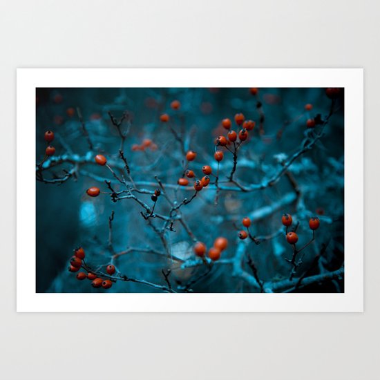 Winter Blue Art Print