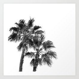 Big Sur Palms | Black and White Palm Trees California Summer Sky Beach Surfing Botanical Photography Art Print
