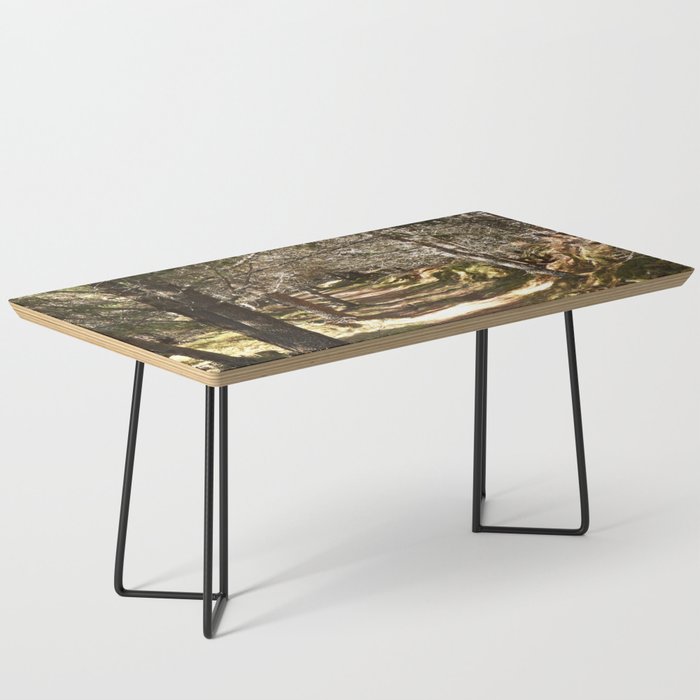 Scottish Highlands Spring Nature Path Coffee Table