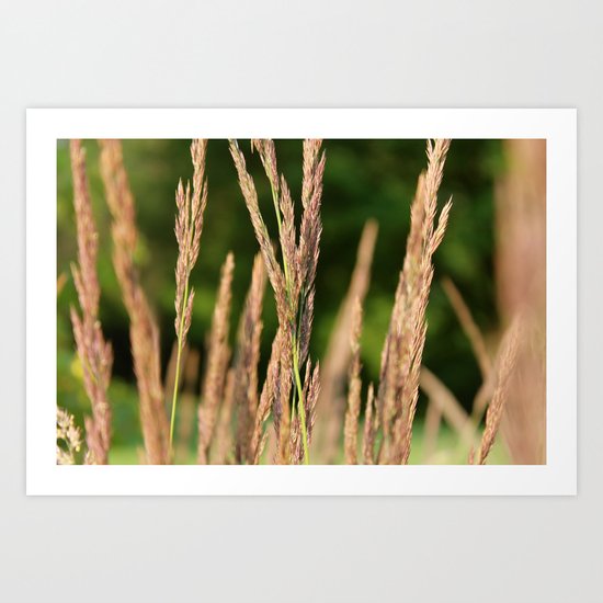 Praire Art Print