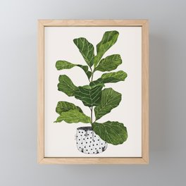Fiddle leaf fig Tree Framed Mini Art Print