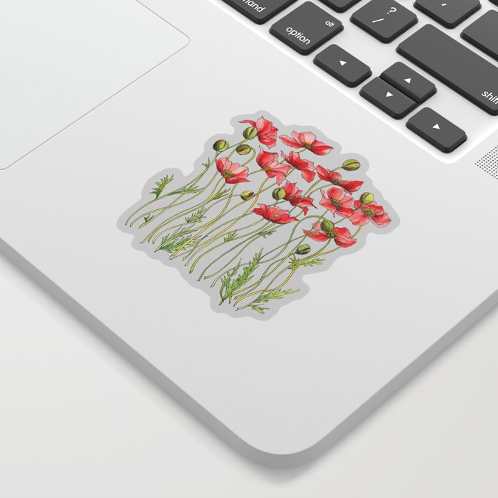 Red Poppies, Illustration Sticker