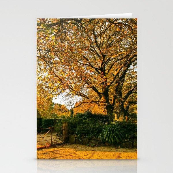 Bebeah Gardens, Mount Wilson, Blue Mountains, Sydney Stationery Cards