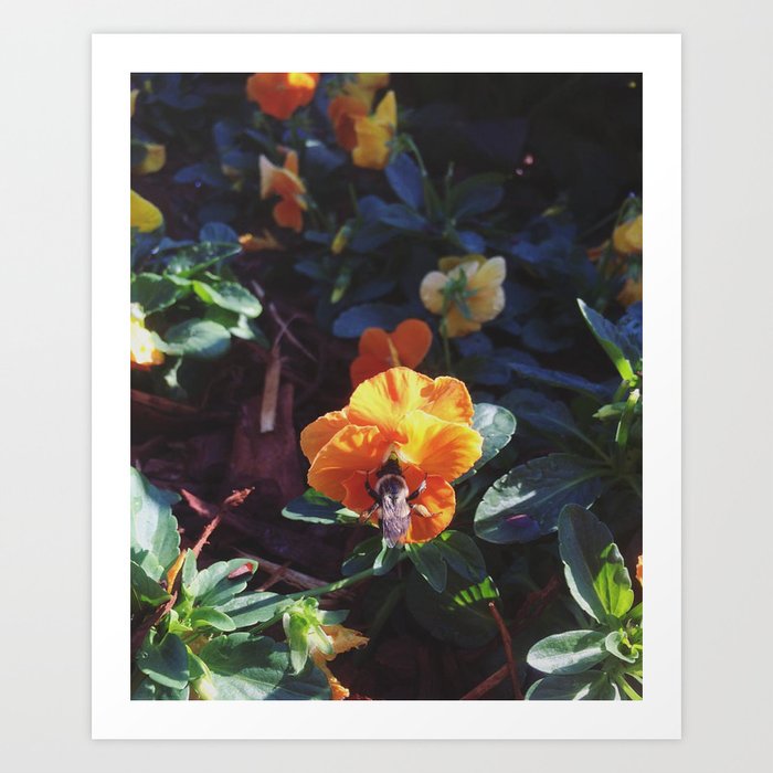 Pollinator Art Print