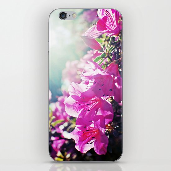 A Flare of Spring iPhone & iPod Skin