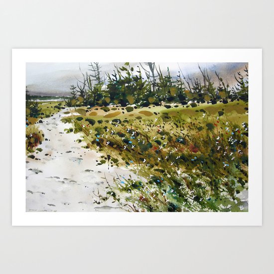 path to the beach Art Print