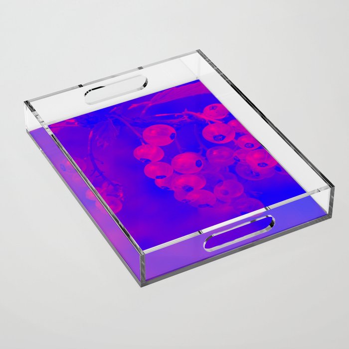 Fluorescent currant — Duotone — Pink Purple Blue Acrylic Tray