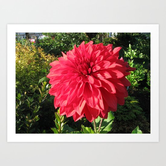 Blooming Just For You Art Print