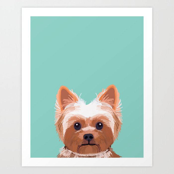 Gifts for your yorkie discount