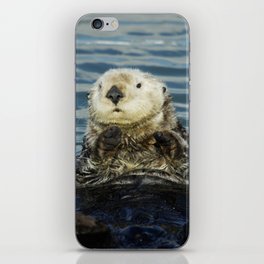 Sea Otter iPhone Skin