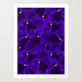 purple pansies Art Print