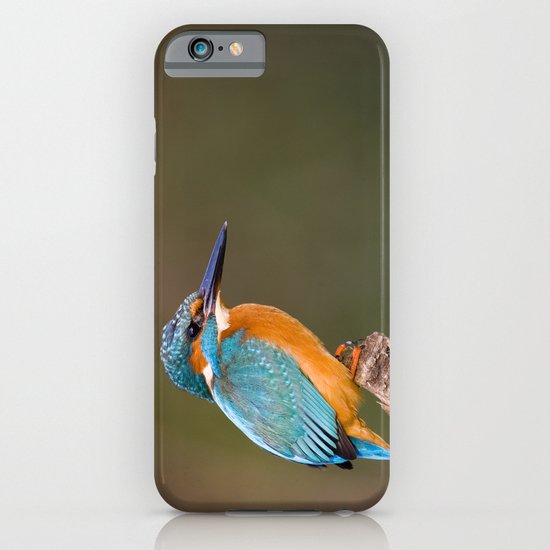 KINGFISHER iPhone & iPod Case