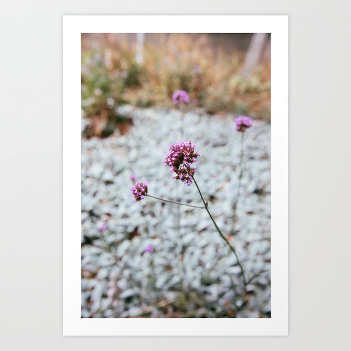 Bloom Art Print