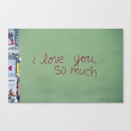 I love you so much Canvas Print