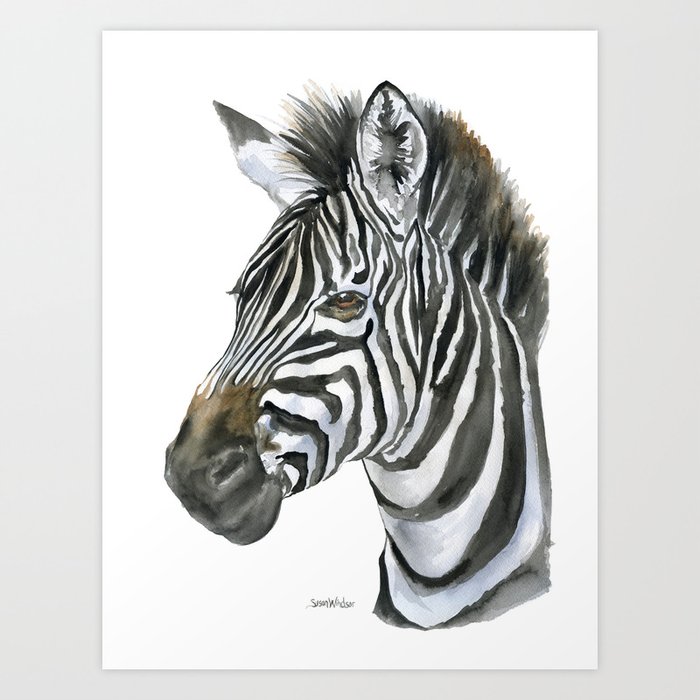 Zebra Watercolor Painting - African Animal Painting Wildlife Head Bust Art Print By Susan Windsor | Society6
