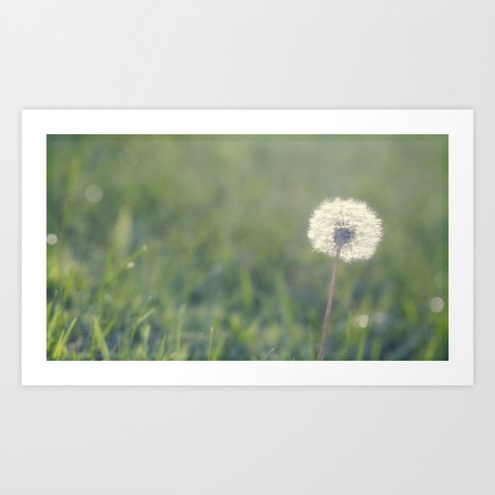 in the haze Art Print