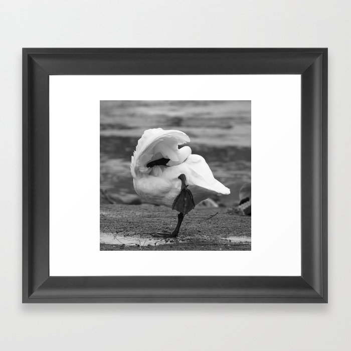 Yoga Goose Framed Art Print