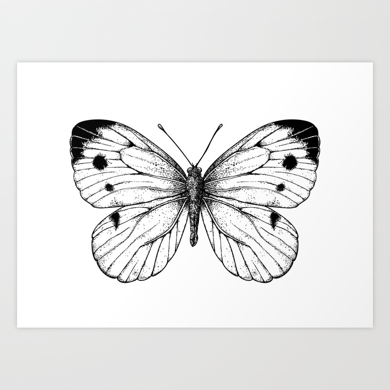 Cabbage Butterfly Art Print By Katerinamitkova Society6