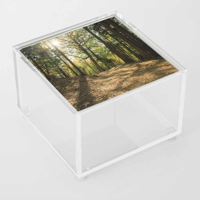 Light on for the Forest Acrylic Box