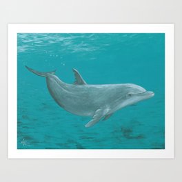 Dolphin Painting Art Prints For Any Decor Style Society6