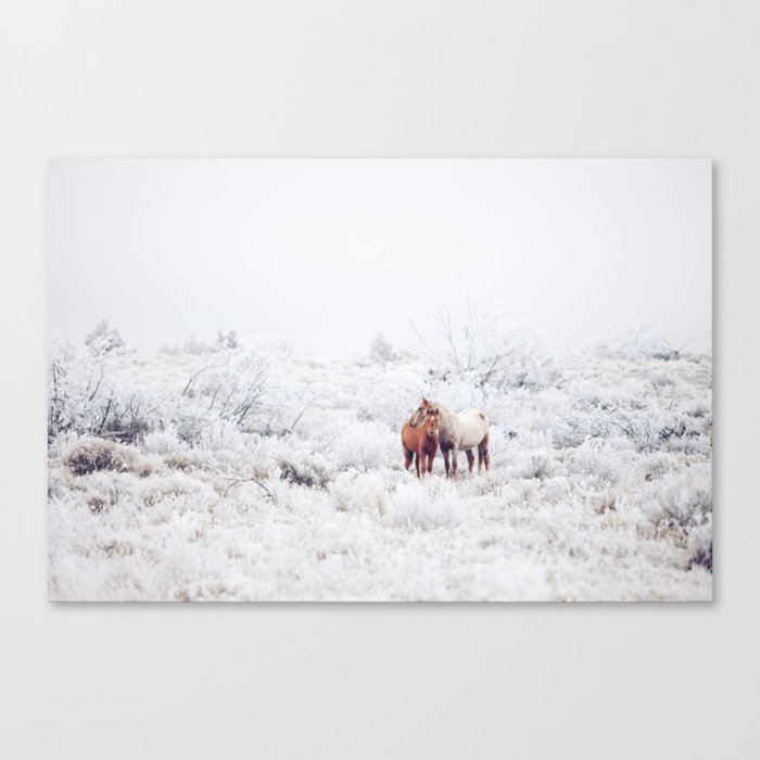 Two Winter Horses Canvas Print