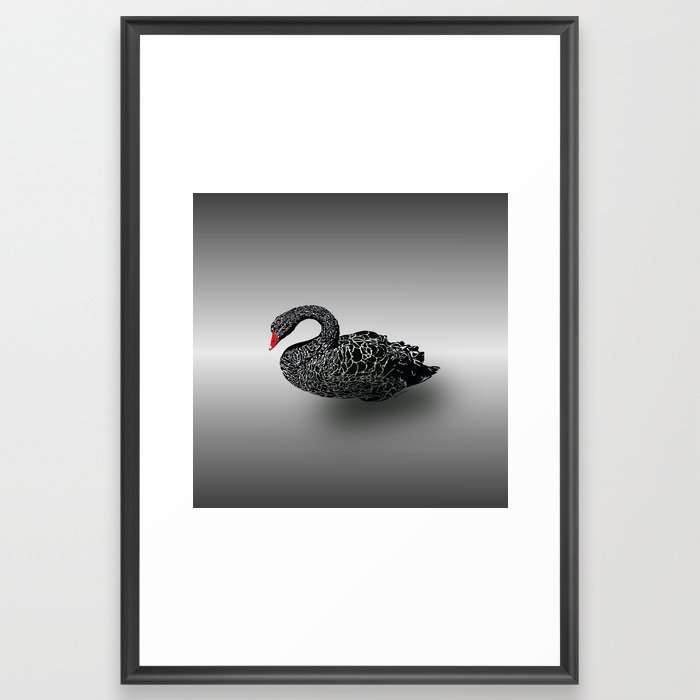 Black Swan  Framed Art Print