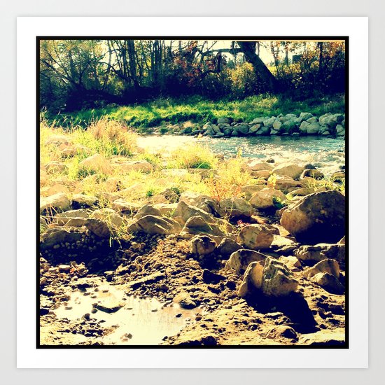 Nature 6 Art Print