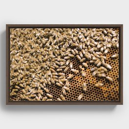 beekeeping composition no.1 Framed Canvas