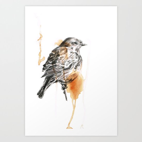 Stonechat Art Print