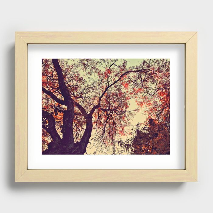 Fall Fire Recessed Framed Print