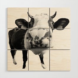 Inquisitive Cow Wood Wall Art