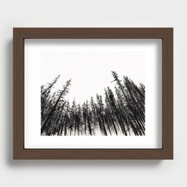 Pine Forest Recessed Framed Print