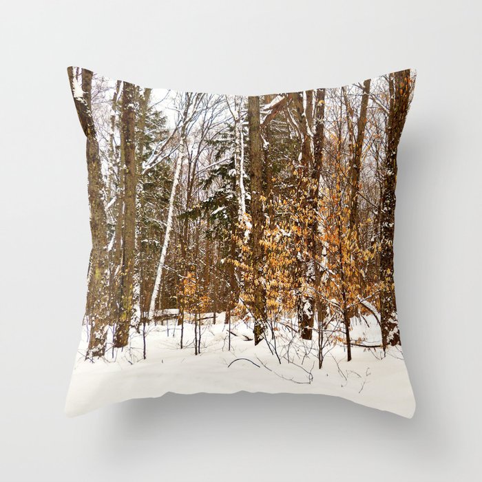 Maple Beech Forest in the Winter Throw Pillow