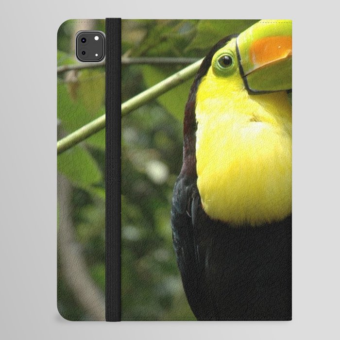 Mexico Photography - Beautiful Toucan On A Branch iPad Folio Case