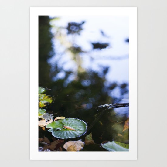pond Art Print