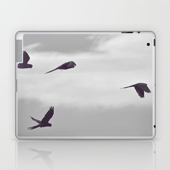 Parrots in Flight | Nature Photography in Black and White Laptop & iPad Skin