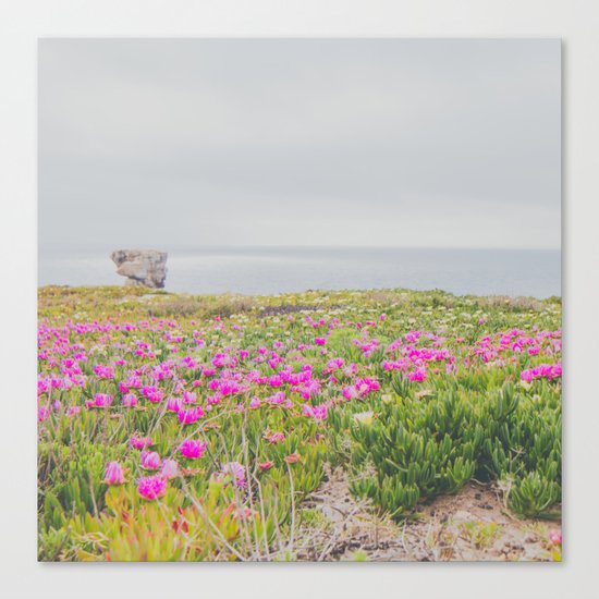 Across the flowers to the ocean Canvas Print